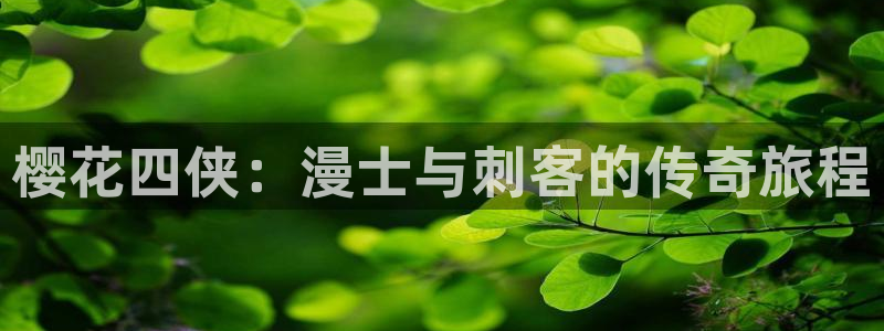 韩漫漫画下载网：樱花四侠：漫士与刺客的传奇旅程