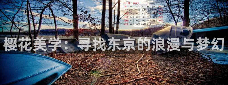 volcanicage漫画：樱花美学：寻找东京的浪漫与梦幻
