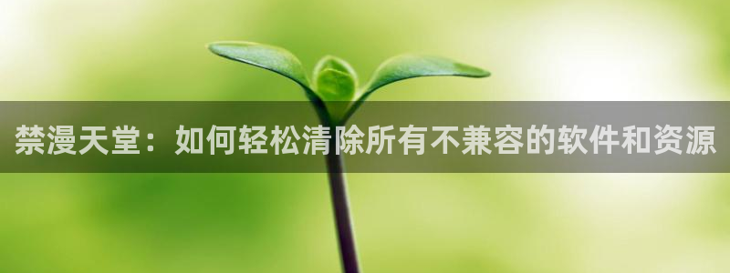 韩漫漫画网下载：禁漫天堂：如何轻松清除所有不兼容的软件和资源