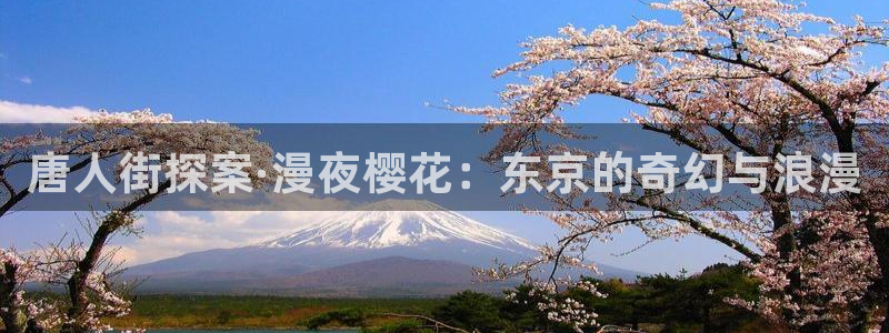 韩漫漫画官网在线入口：唐人街探案·漫夜樱花：东京的奇幻与浪漫