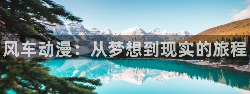colamanage漫画：风车动漫：从梦想到现实的旅程
