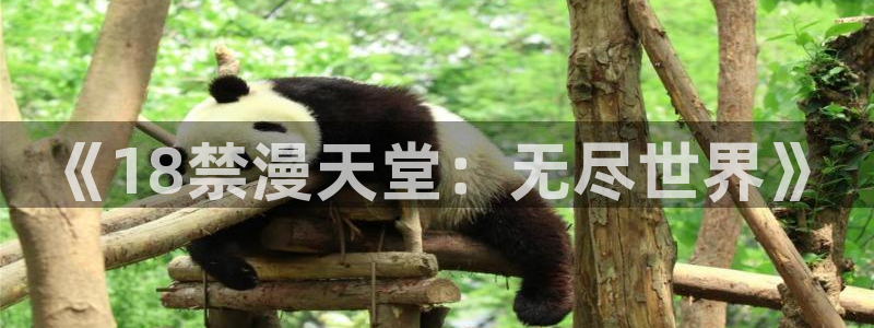 拷贝漫画 copymanager.ory网站：《18禁漫天堂：无尽世界》
