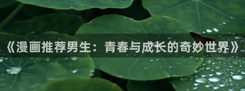 韩漫漫画网上看：《漫画推荐男生：青春与成长的奇妙世界》
