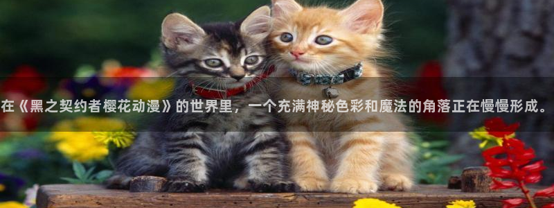 韩漫漫画专注动漫的门户网站：在《黑之契约者樱花动漫》的世界里，一个充满神秘色彩和魔法的角落正在慢慢形成。
