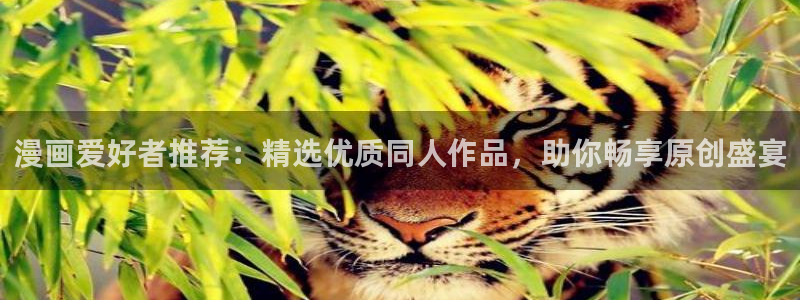 韩漫漫画正版网：漫画爱好者推荐：精选优质同人作品，助你畅享原创盛宴