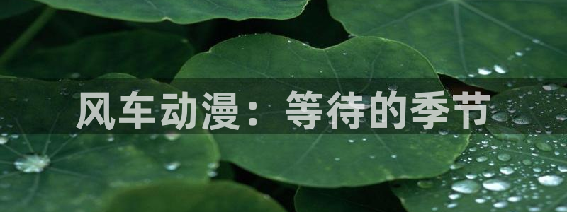 韩漫漫画网上看：风车动漫：等待的季节