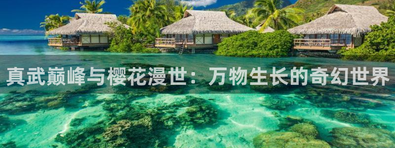 age专注动漫的门户网站：真武巅峰与樱花漫世：万物生长的奇幻世界