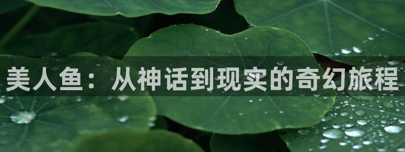 韩漫漫画官网网址：美人鱼：从神话到现实的奇幻旅程
