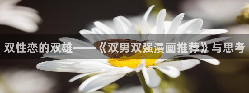 colomanage漫画官网：双性恋的双雄——《双男双强漫画推荐》与思考