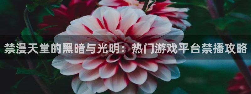 韩漫漫画正版网：禁漫天堂的黑暗与光明：热门游戏平台禁播攻略