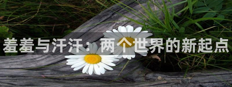 在线动画动漫下载韩漫漫画：羞羞与汗汗：两个世界的新起点