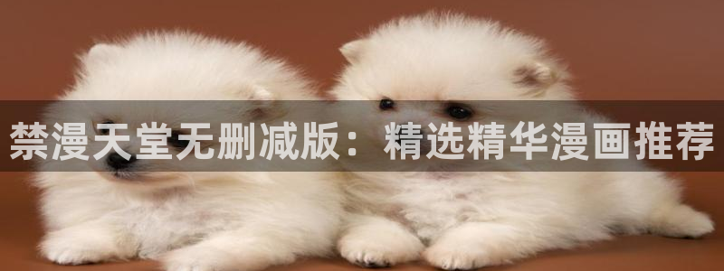 韩漫漫画下载网：禁漫天堂无删减版：精选精华漫画推荐