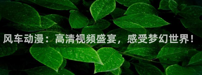 colomanage漫画官网：风车动漫：高清视频盛宴，感受梦幻世界！