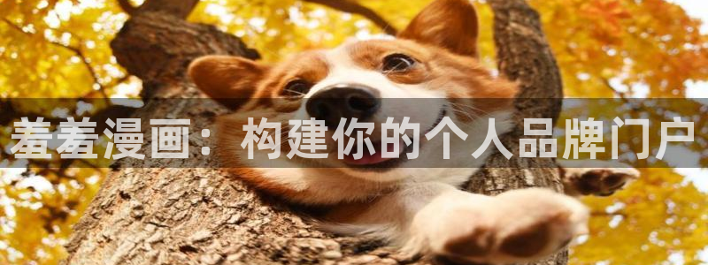 kakaopage韩漫官网：羞羞漫画：构建你的个人品牌门户