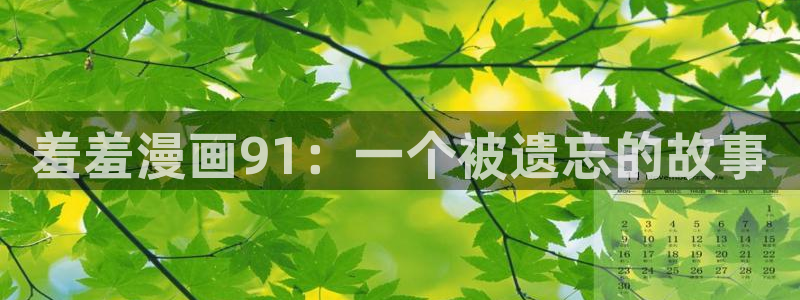 韩漫漫画网下载：羞羞漫画91：一个被遗忘的故事